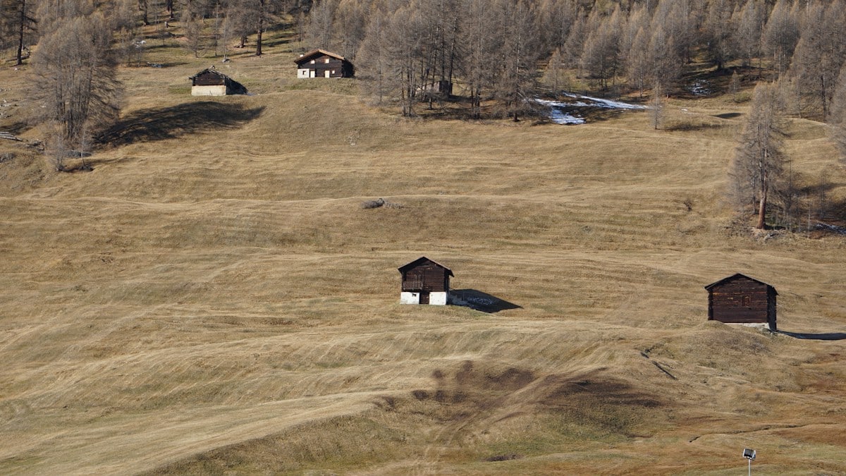 a group of small buildings in a field